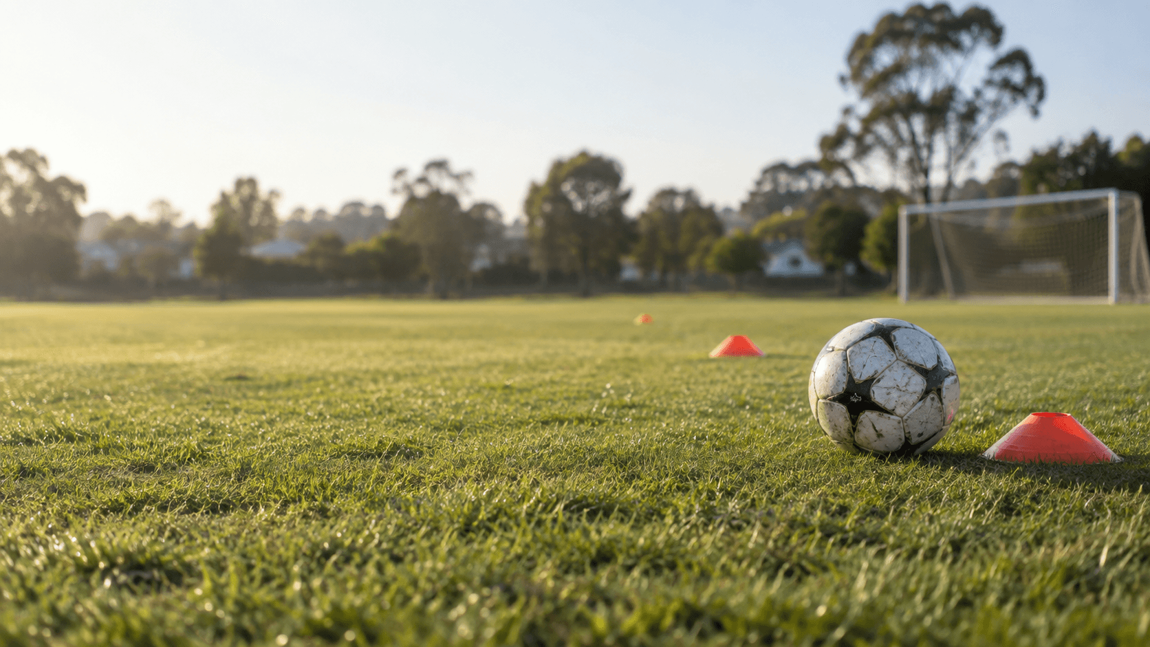 Football and training cones on a grass pitch